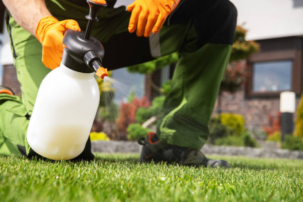 Best Rat Extermination Near Me  in Hlside, IL