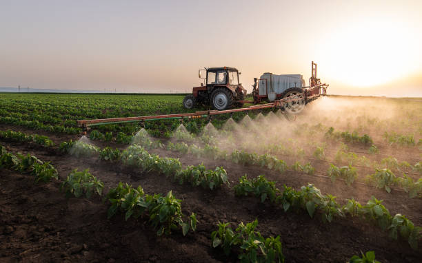 Pest Control Cost in Hillside, IL