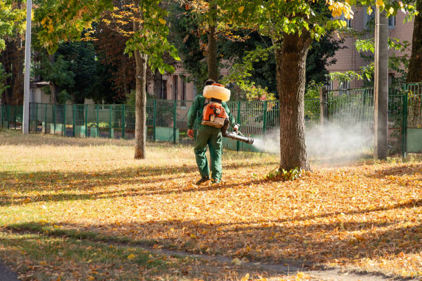 Best Flea Control Services  in Hlside, IL