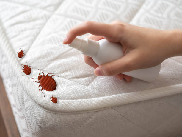 Best Best Pest Control Companies  in Hlside, IL