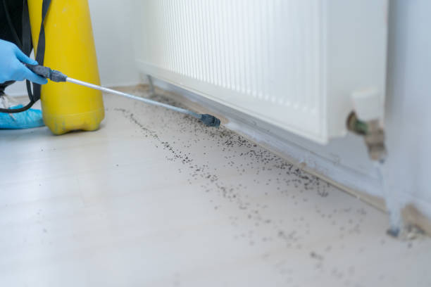 Best Pest Removal Services  in Hlside, IL