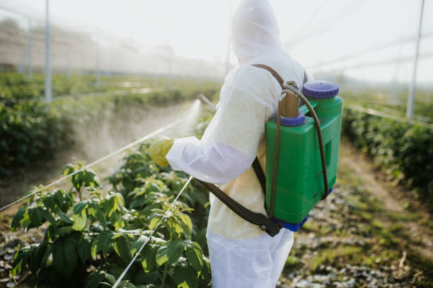 Best Pest Control Near Me  in Hlside, IL